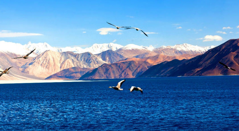 tourhub | Holidays At | Beautiful Ladakh 