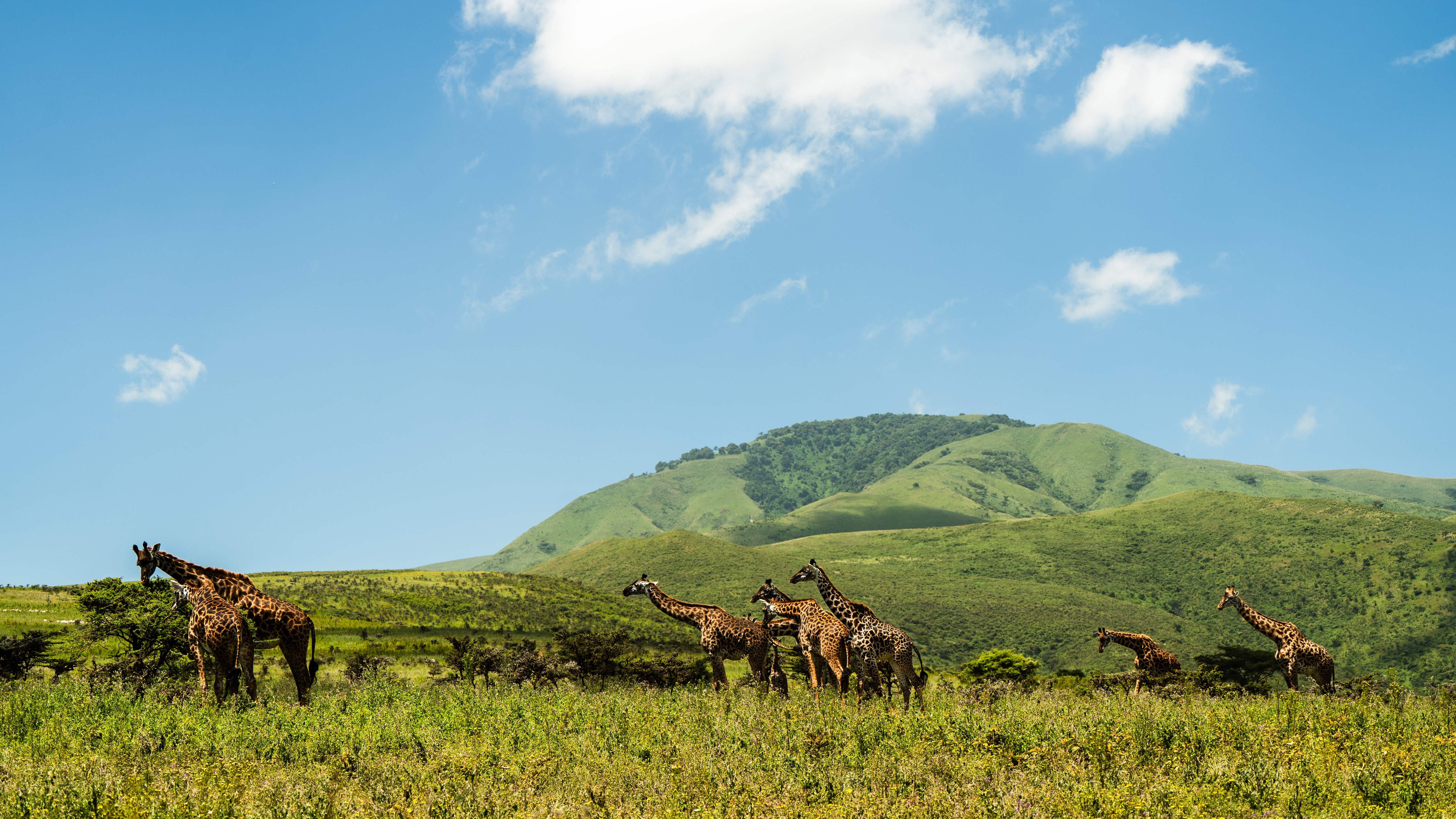 tourhub | Beach and Safari Holidays | Jewels of Tanzania 