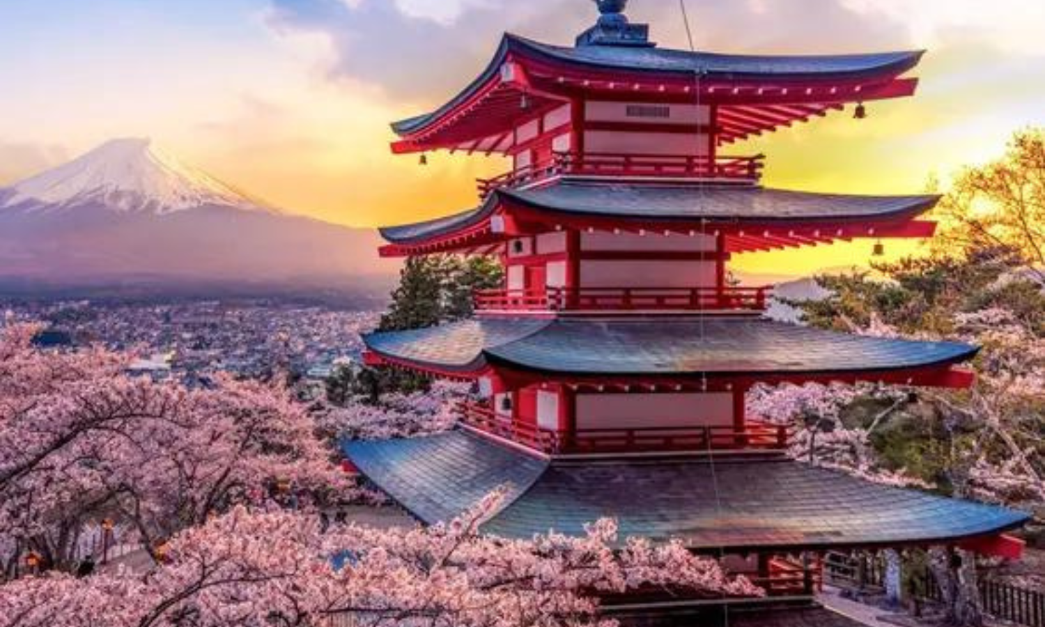 tourhub | Vio Travel | Discover Japan on a Budget: 8-Day Ultimate Starter 