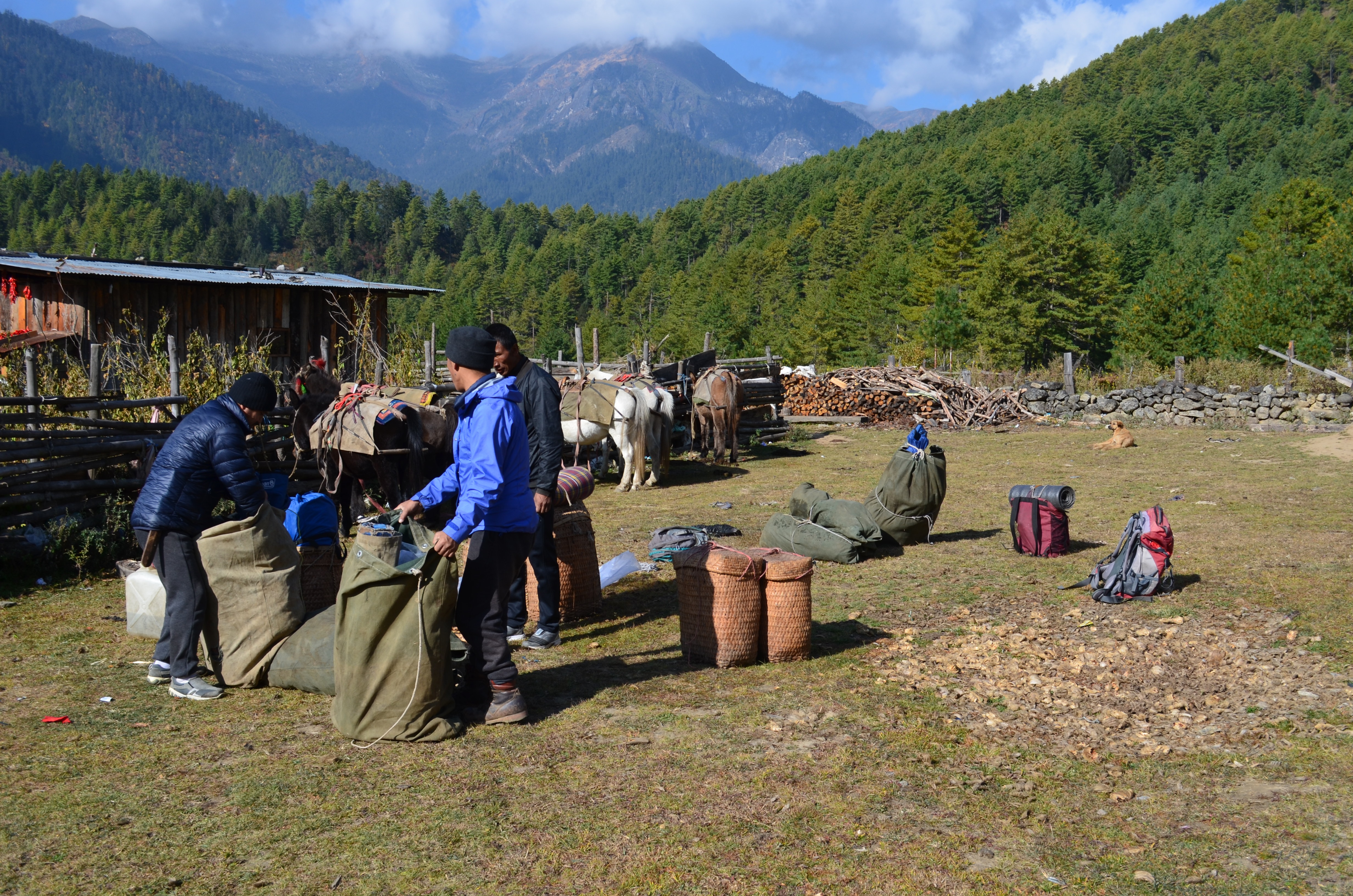 tourhub | World Tour Plan | Bhutan Sagala Trek 