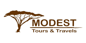 Modest Tours & Travel