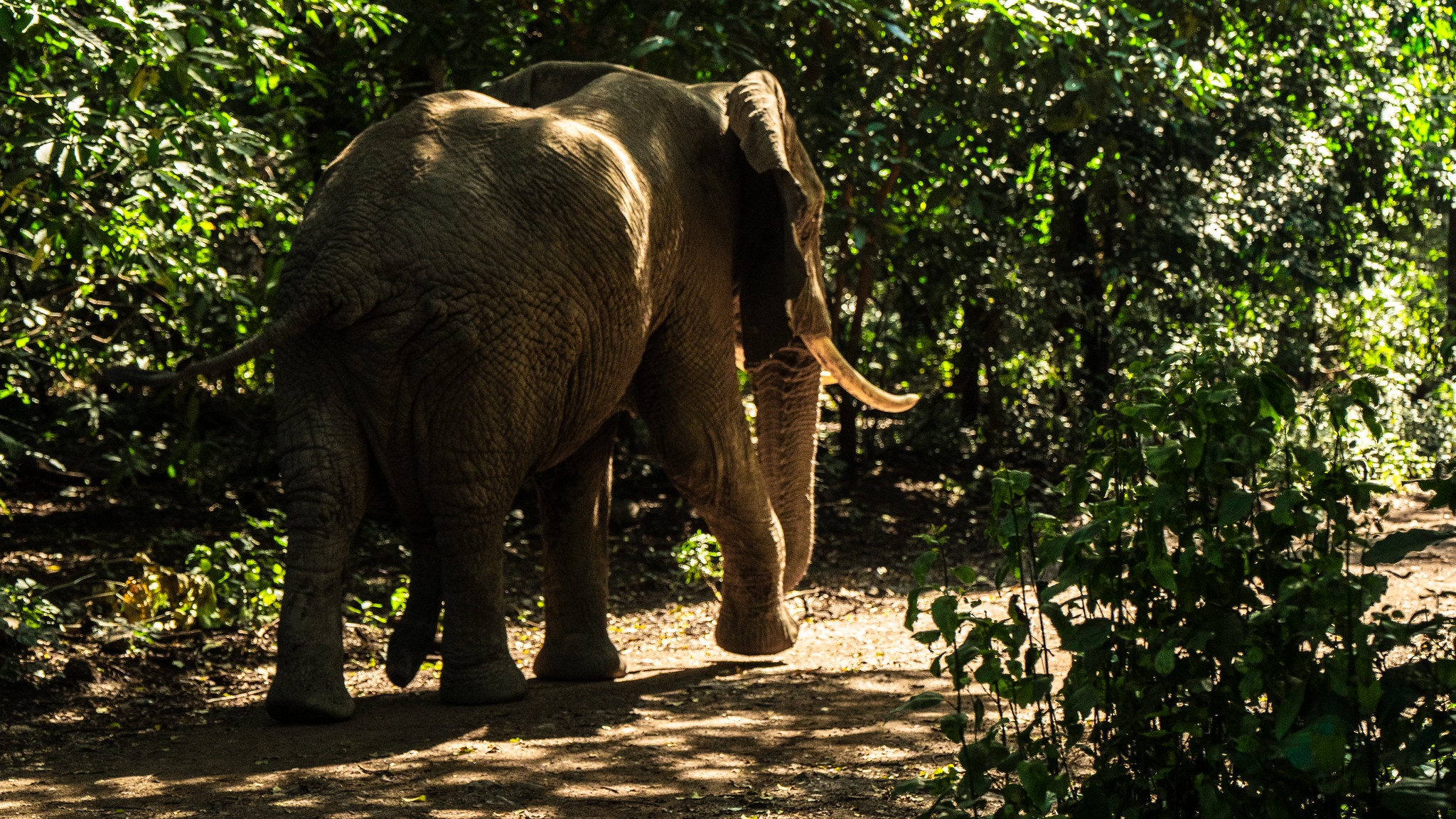 tourhub | Beach and Safari Holidays | From Zanzibar: Tarangire N.P. + Lake Manyara N.P. 