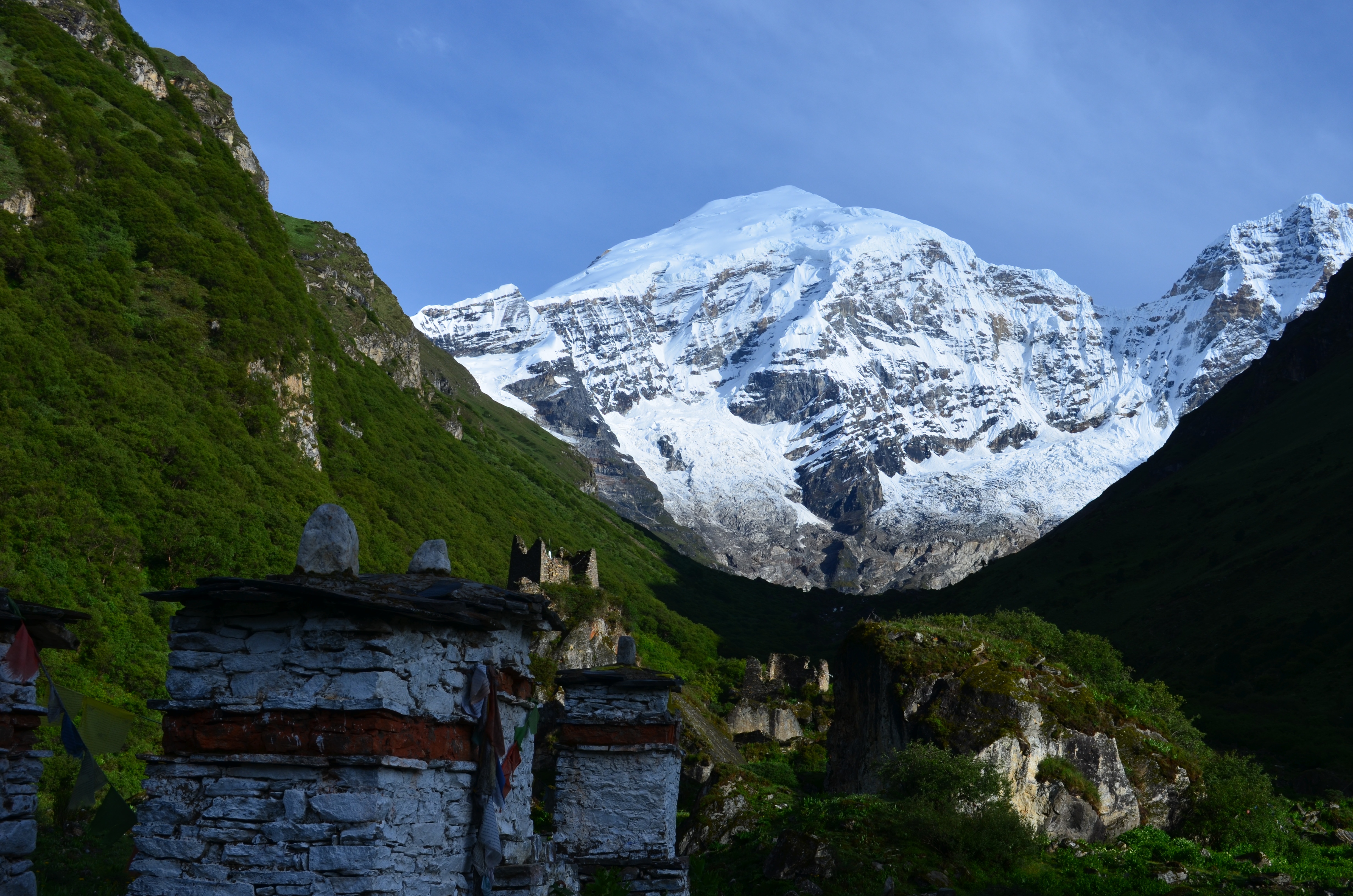 tourhub | World Tour Plan | Laya Gasa Trek 