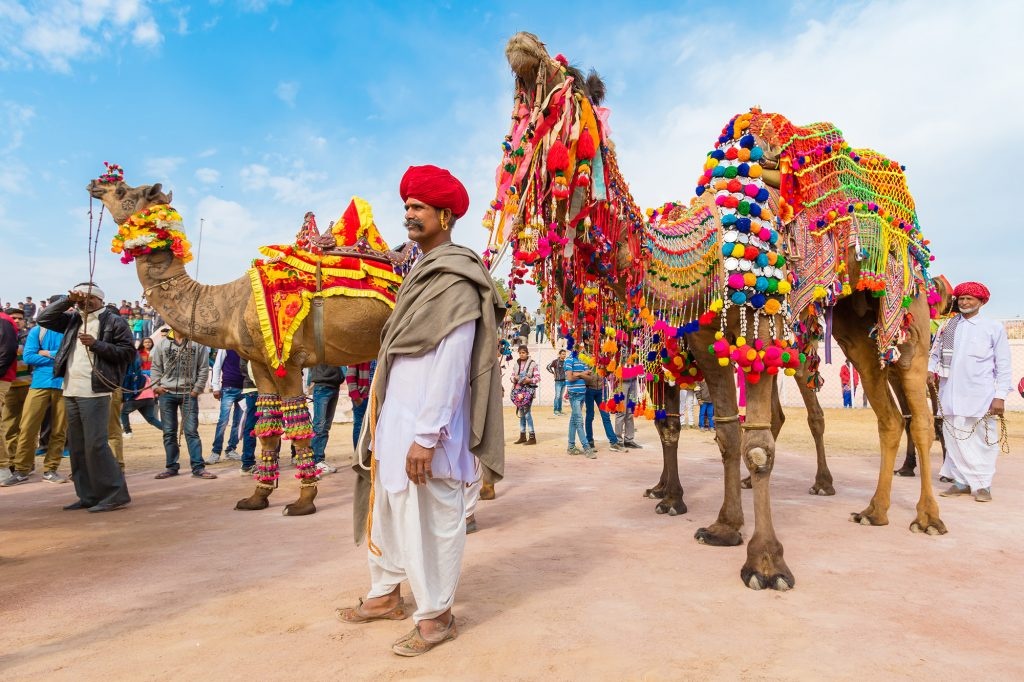 tourhub | Offbeat India Tours | Royal Rajasthan Tours With Fort and Palace (Romantic Rajasthan Tour with Taj Mahal) 