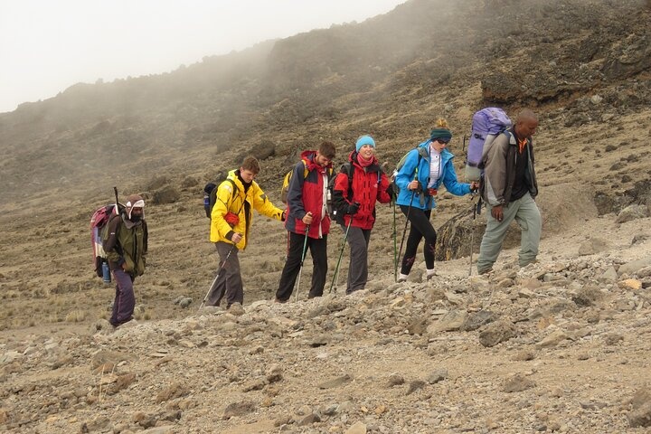 tourhub | Eddy tours and safaris | 10 Days Kilimanjaro Northern Circuit Route 