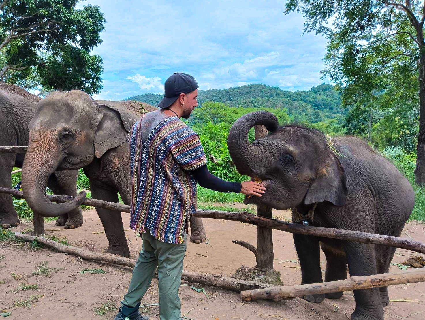 tourhub | Backpacking Tours | Volunteering with Elephants: Thailand 