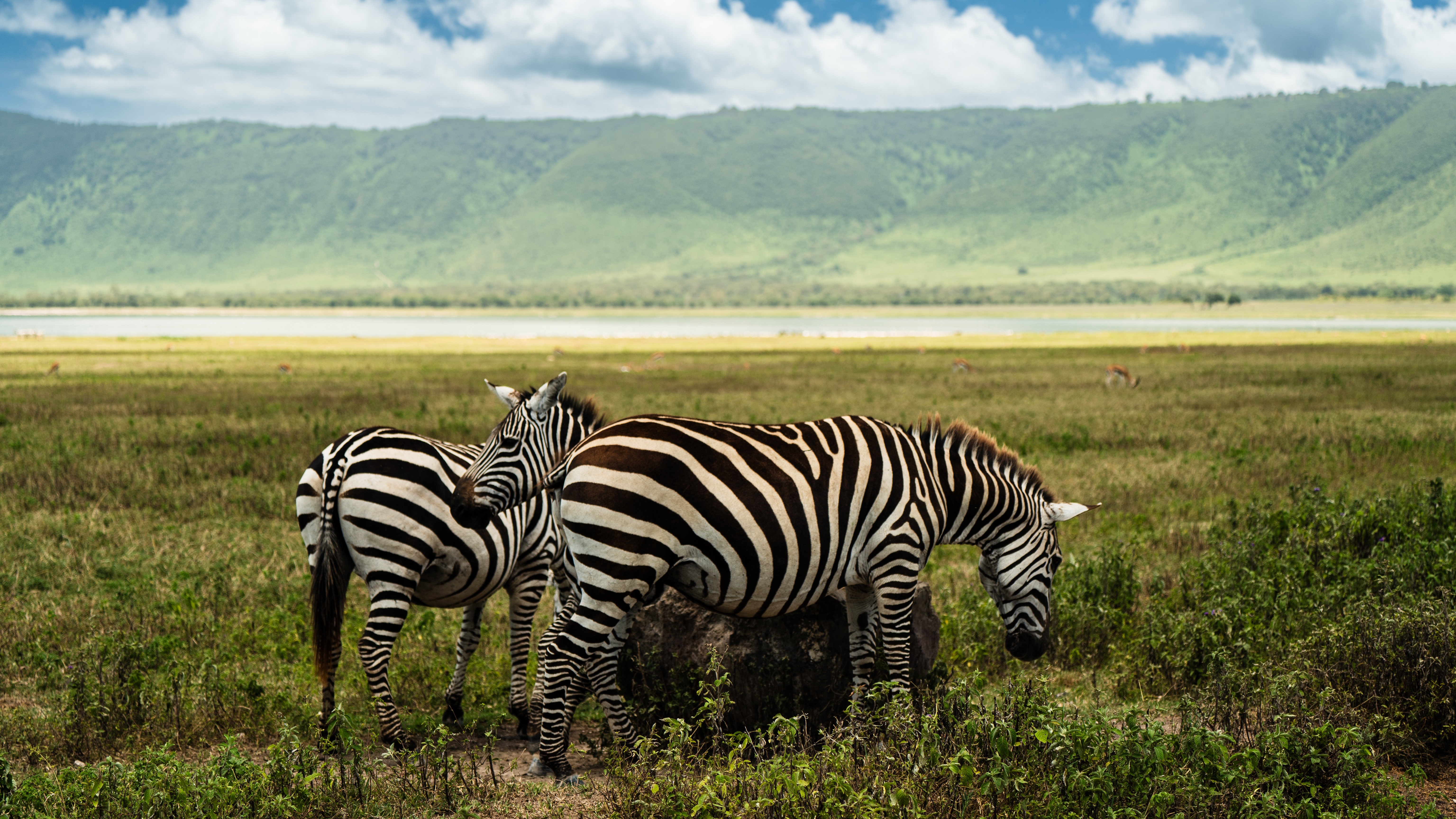 tourhub | Beach and Safari Holidays | Safari Through the Serengeti and More! 