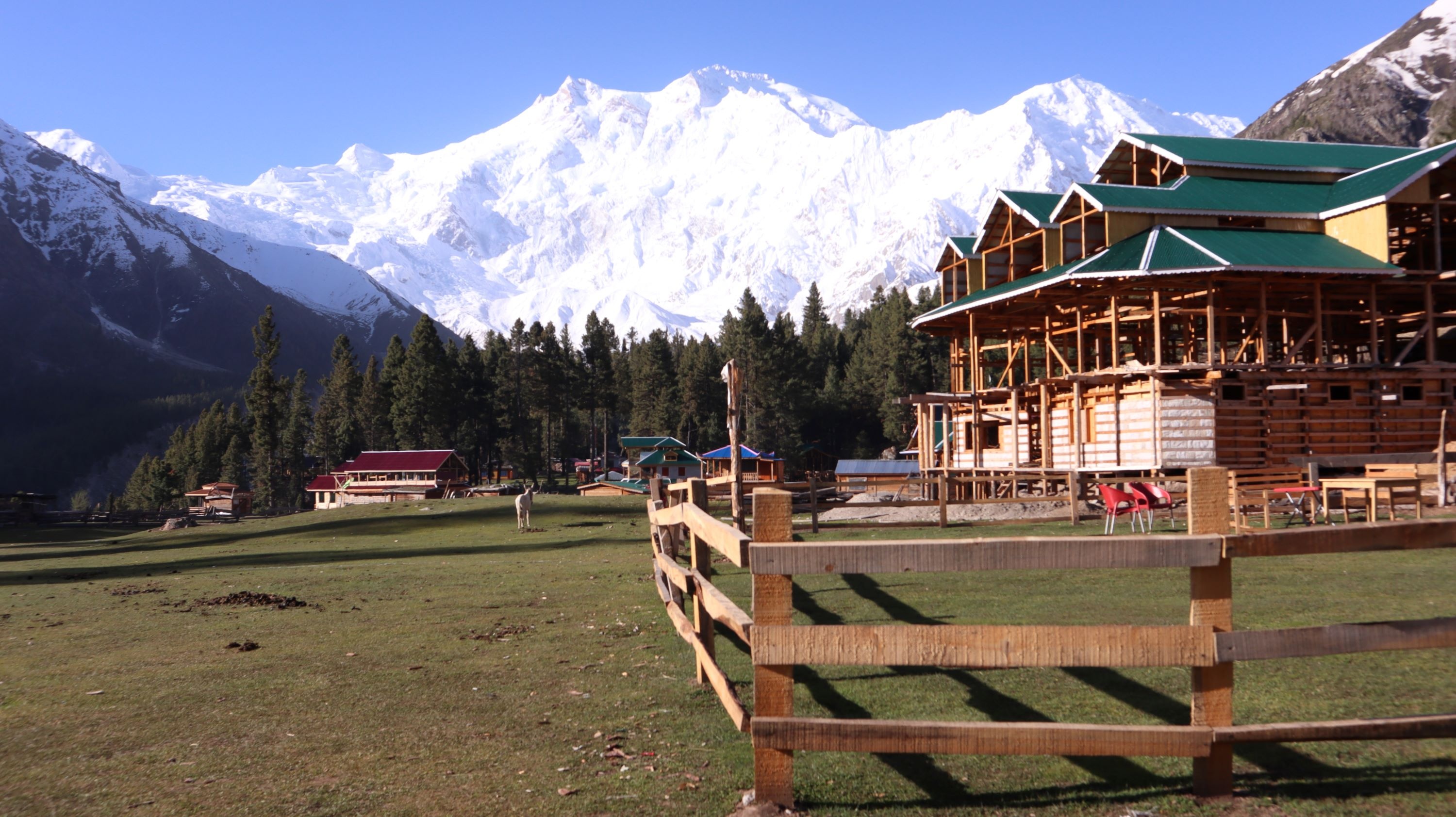 tourhub | Black Glacier Tours BGT | Hike to the Base Camps of Nanga Parbat & Passu Peak (Fairy Meadows and Patundas Meadows Hunza) 