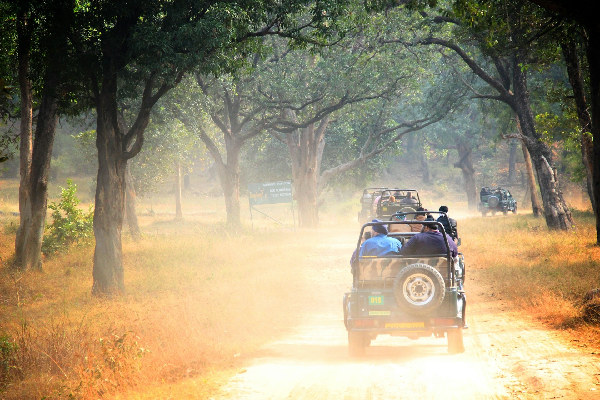 tourhub | Go Book Tours | Bandhavgarh Jungle Safari Tour Package 