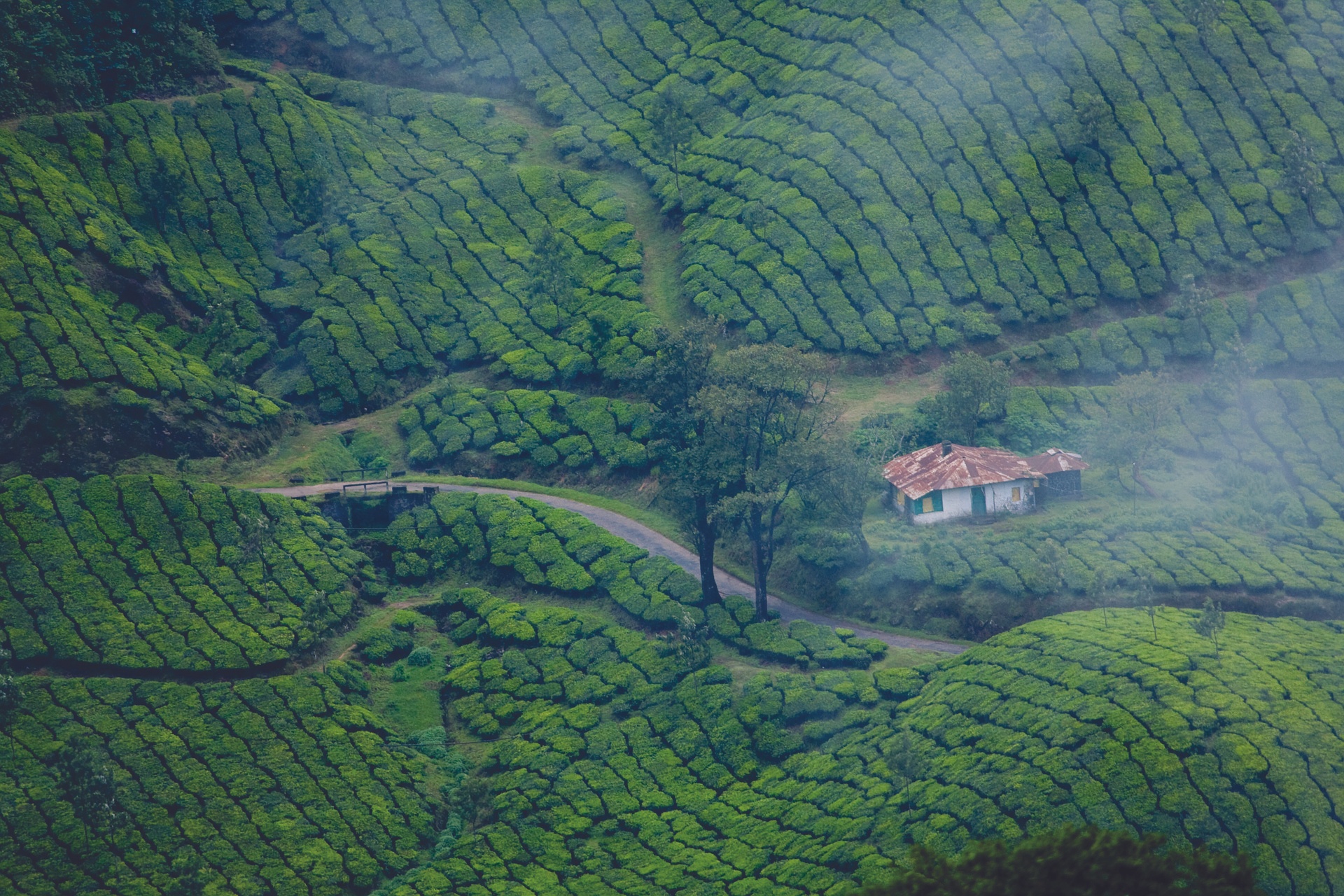 tourhub | The Voyages India | 3N/4D Kerala Tour from Cochin 