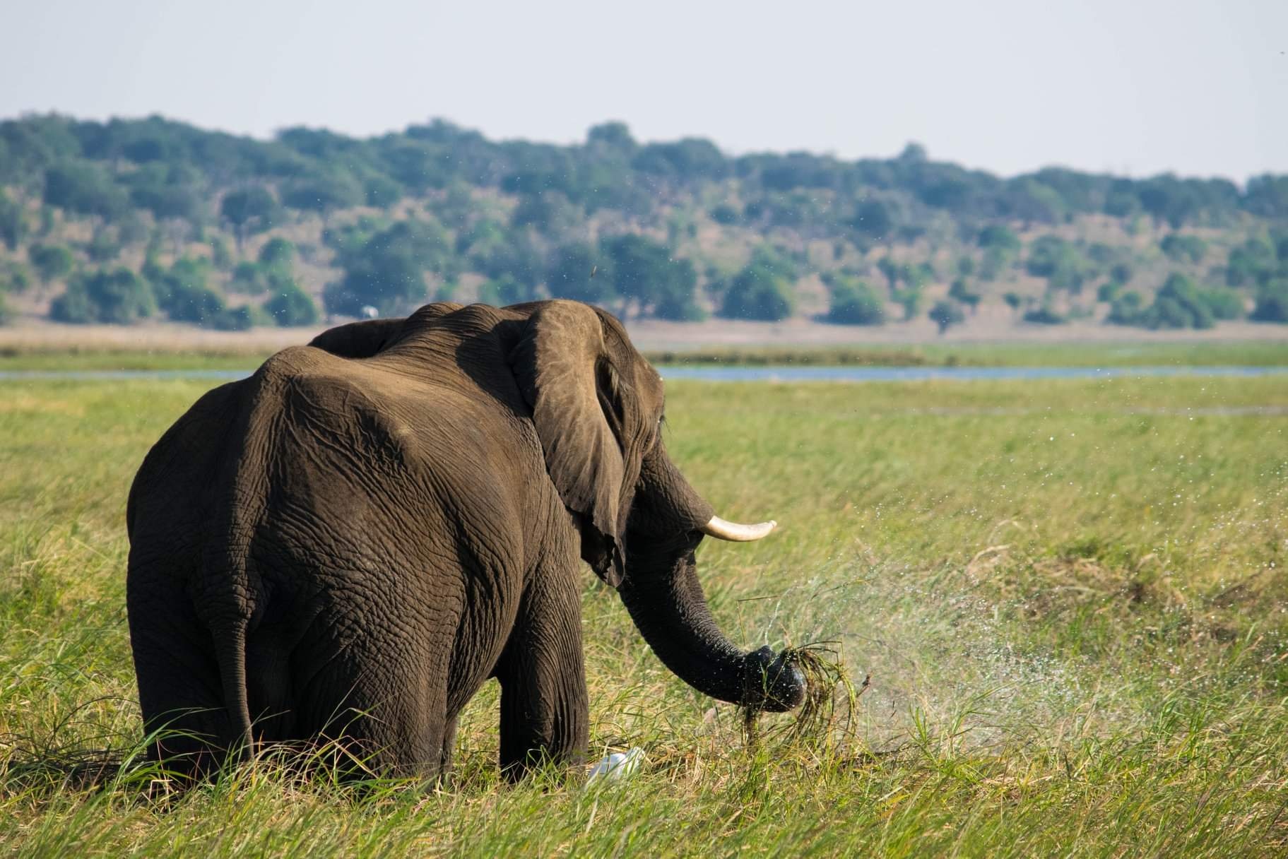 tourhub | HoneyBadger Travel & Tours | Cape Victoria Discover Tour: 12 Day Kruger Park, Victoria Falls, Chobe, Cape Town 