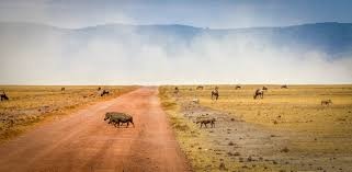 tourhub | Nomad Explorer Tours | 4-Day Serengeti & Ngorongoro Crater Lodge Safari | Tour Map