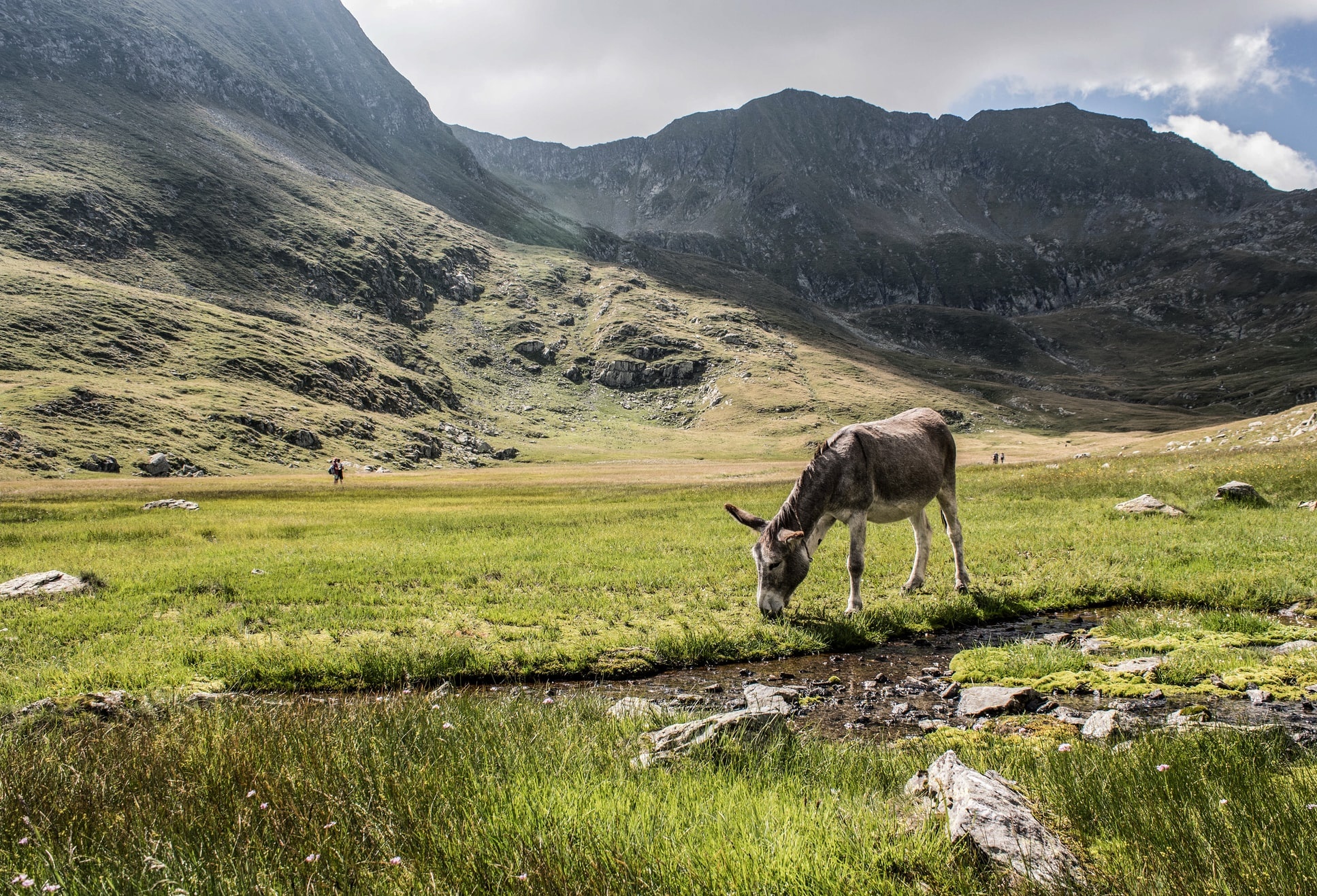 tourhub | Carpathian Travel Center | 8 Days Trekking Tour - Reaching the highest peaks in Romania: Moldoveanu Peak (2544 m) & Negoiu Peak (2535 m) 