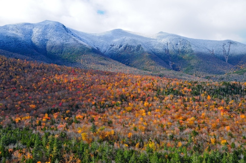 tourhub | Tours of Distinction | New England Fall Foliage Tour 