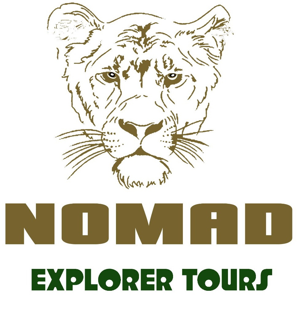 Nomad Explorer Tours