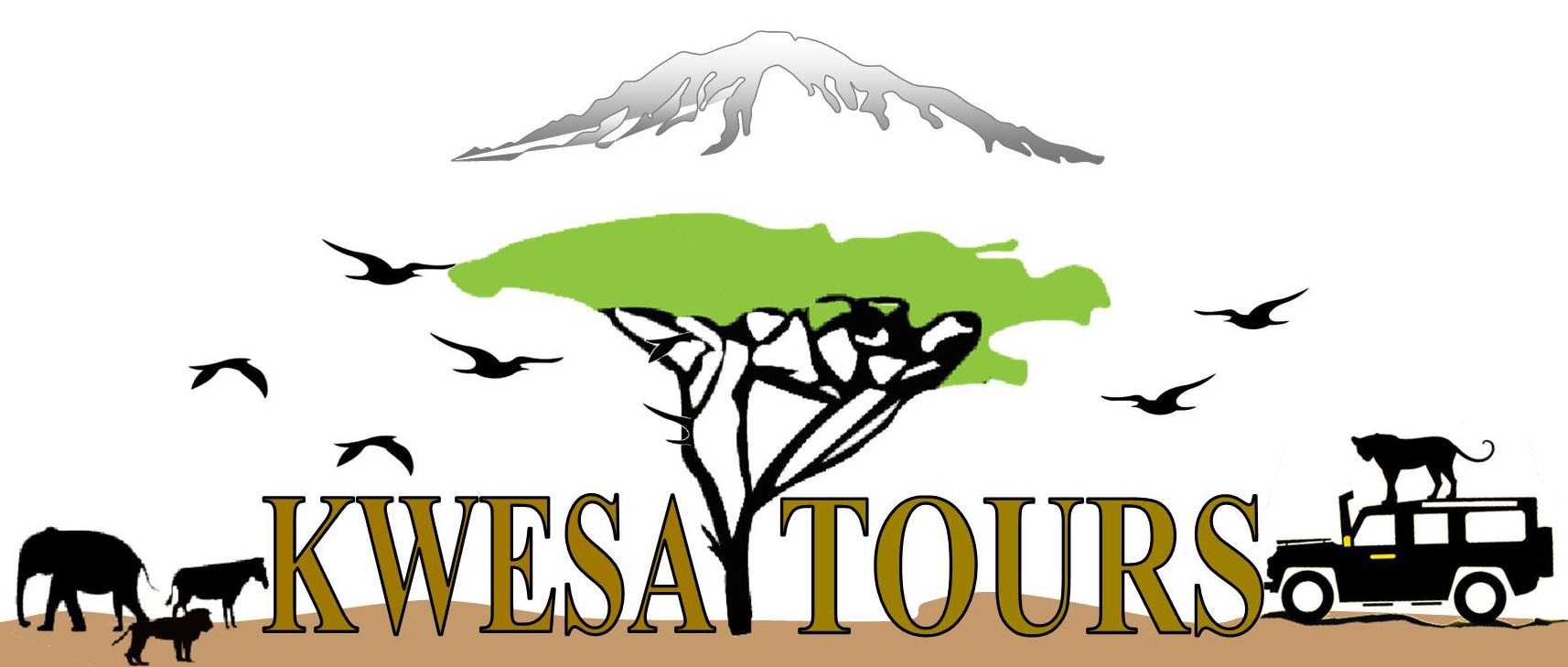 Kilimanjaro Wonders Expedition Safari