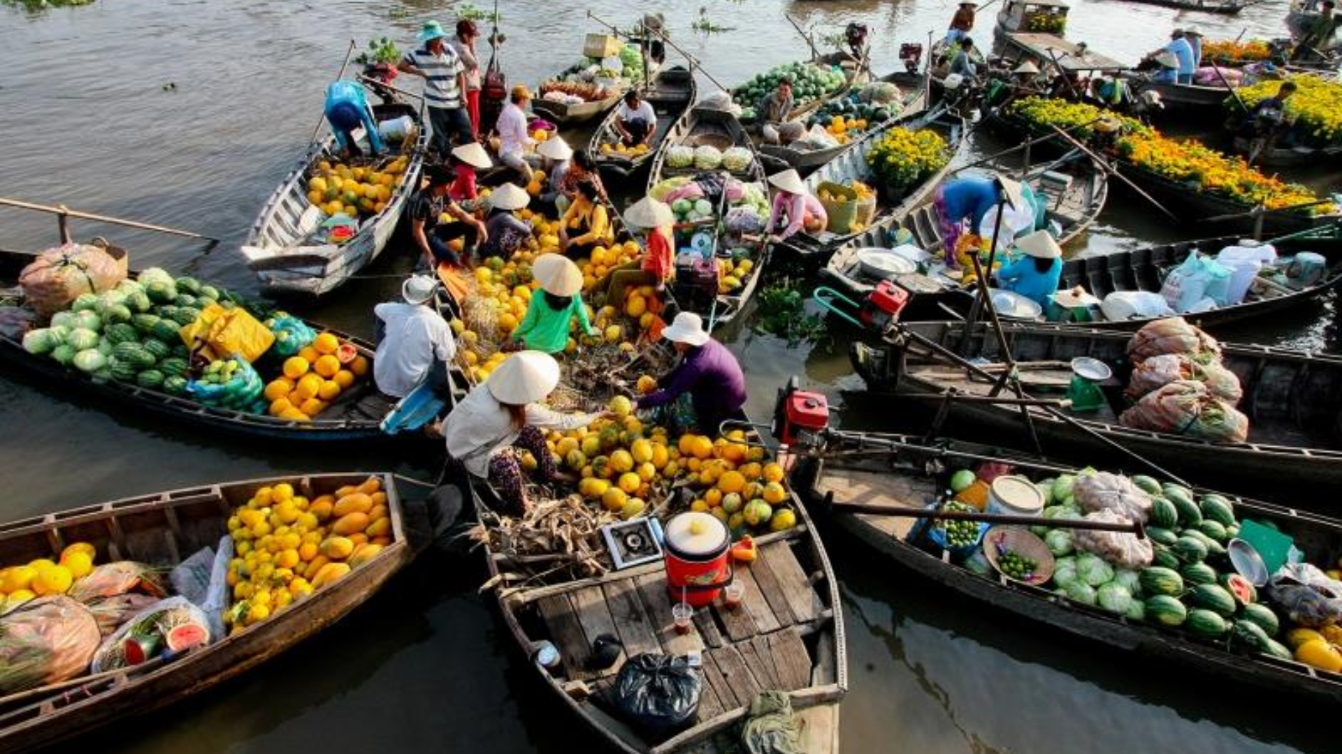 tourhub | CONNEK TRIP | 20-DAY INDOCHINA ODDYSSEY SMALL GROUP: SOLO ADVENTURES IN VIETNAM - CAMBODIA - LAOS 