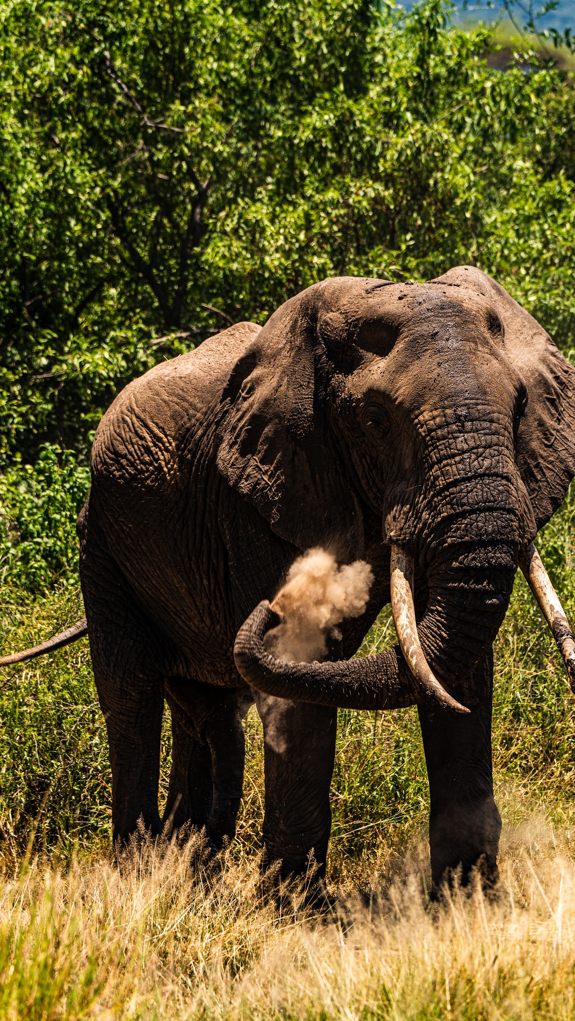 tourhub | Beach and Safari Holidays | Safari Through Tarangire and Lake Manyara 