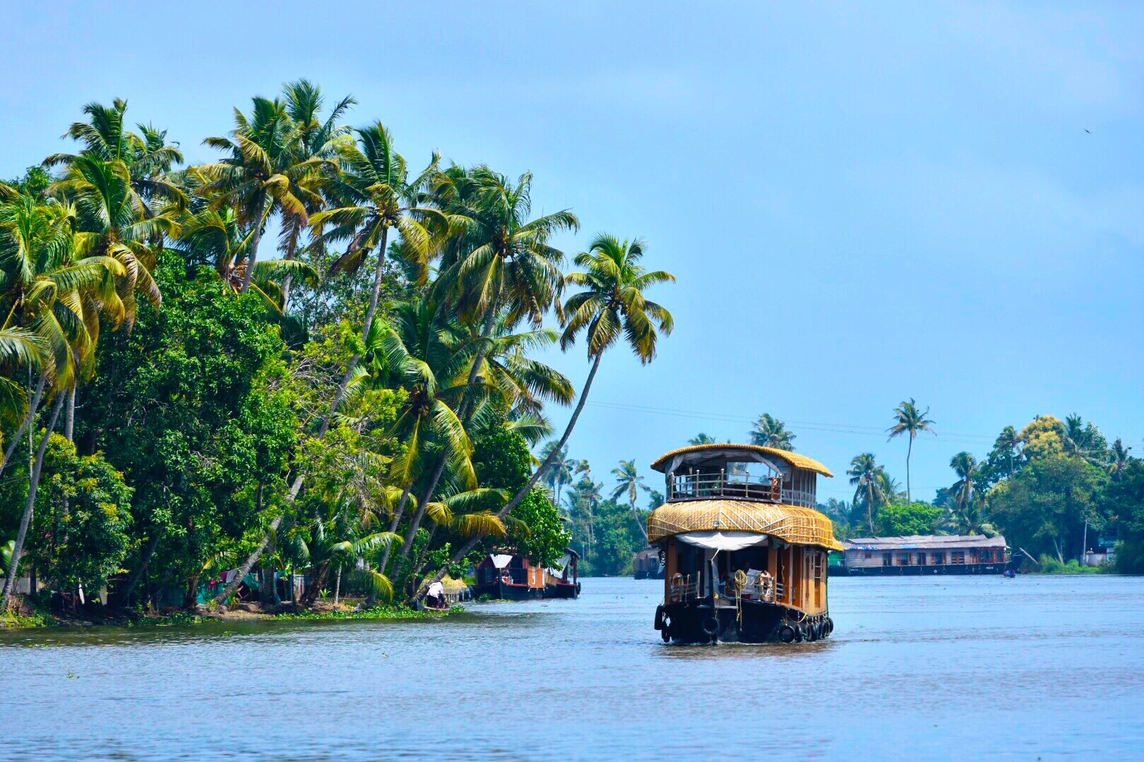 tourhub | Panda Experiences | Kerala Hill Stations Tour 