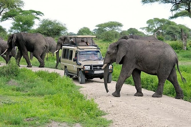 tourhub | Gracepatt Ecotours Kenya | From Nairobi: 2 Days Amboseli National Park Safari Package 