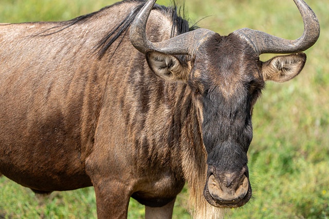 tourhub | Akondo Adventures | Extremely Impressive Tanzania Safari 