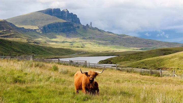 tourhub | Insight Vacations | Country Roads of Scotland - Classic Group 