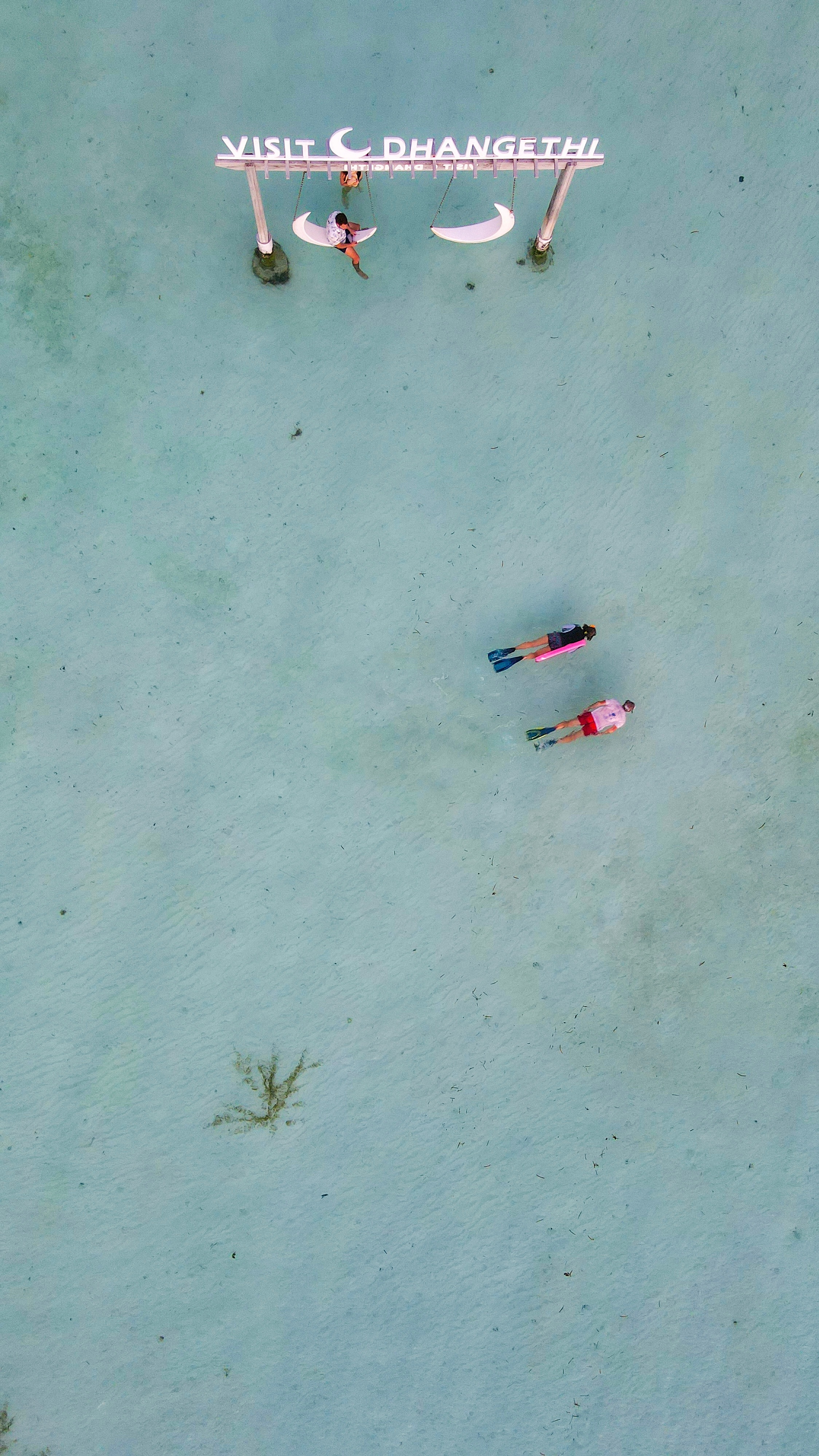 tourhub | UI Maldives | Maldives - South Ari Atoll Whale Shark Safari 