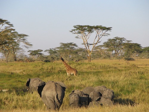 tourhub | Widerange African Safaris | 2 days Tanzania Sharing Camping safari package 