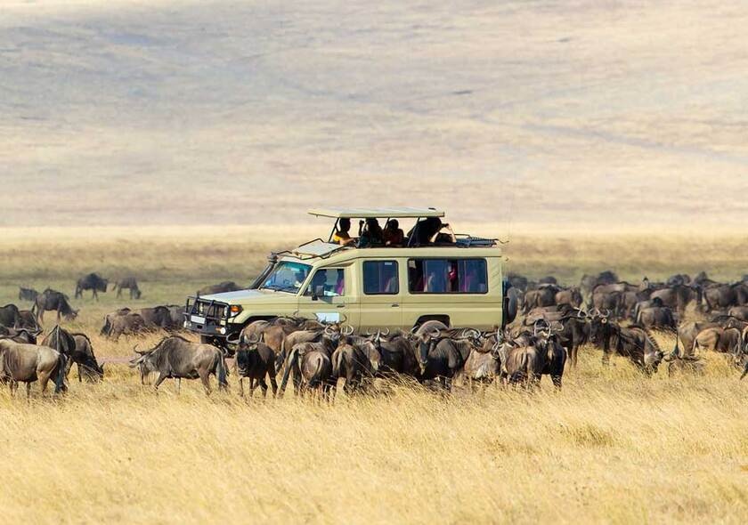 tourhub | East Africa Safari Guides | 6 Day Tanzania Camping Safari to Tarangire, Serengeti and Ngorongoro Crater Tour 