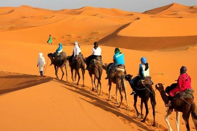 tourhub | Morocco Premium Tours | 7-Day Moroccan Adventure: From Casablanca to Marrakech 