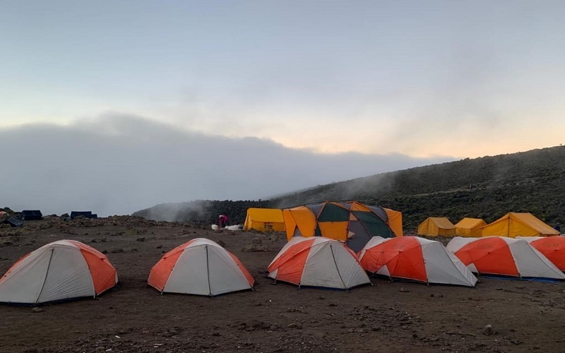 tourhub | Widerange African Safaris | 6 days Machame route Package | Kilimanjaro climb 2024 