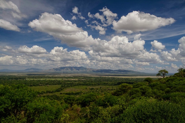 tourhub | Akondo Adventures | 3 Days Tarangire, Lake Manyara and Ngorongoro Safari 