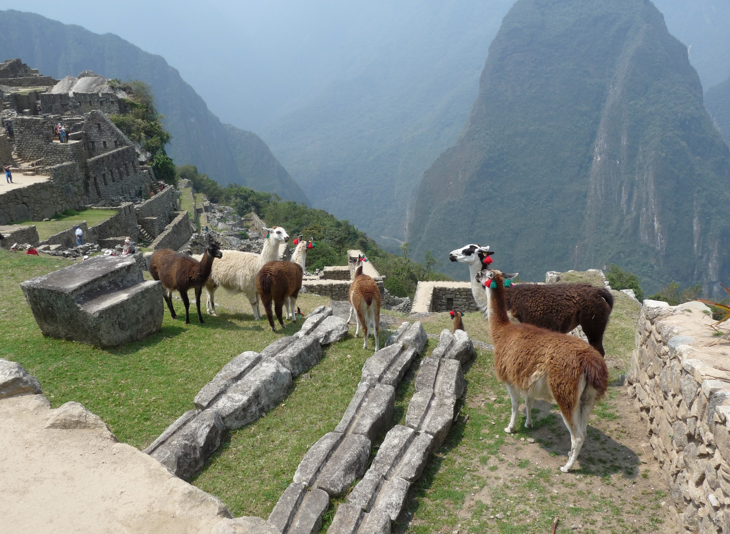 tourhub | Latin Trails | Perú Deluxe: Cultural Adventure 