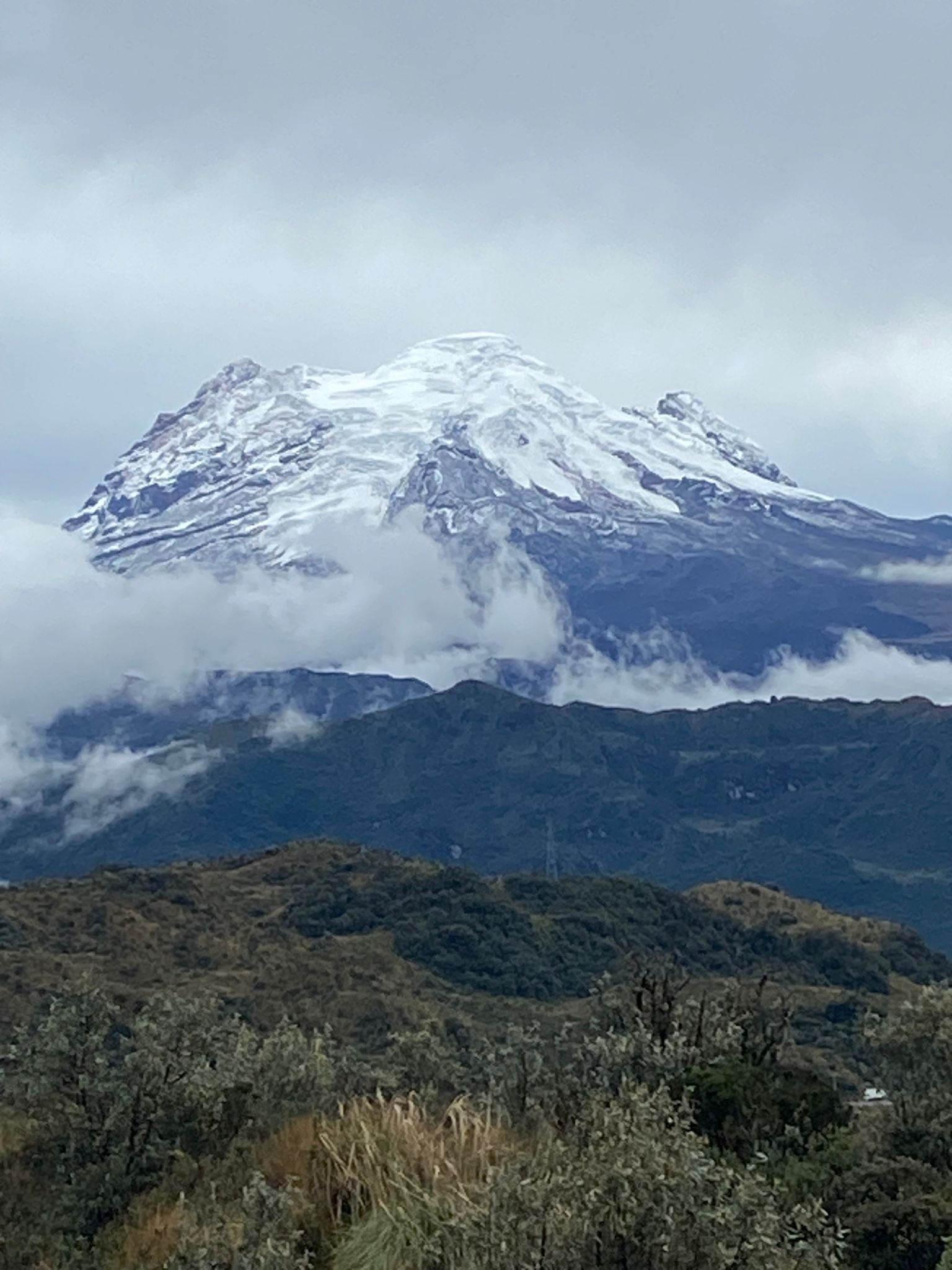 tourhub | Ecuador Galapagos Travels | 12 Days Ecuador’s Greatest Hits: A Bucket-List Adventure 