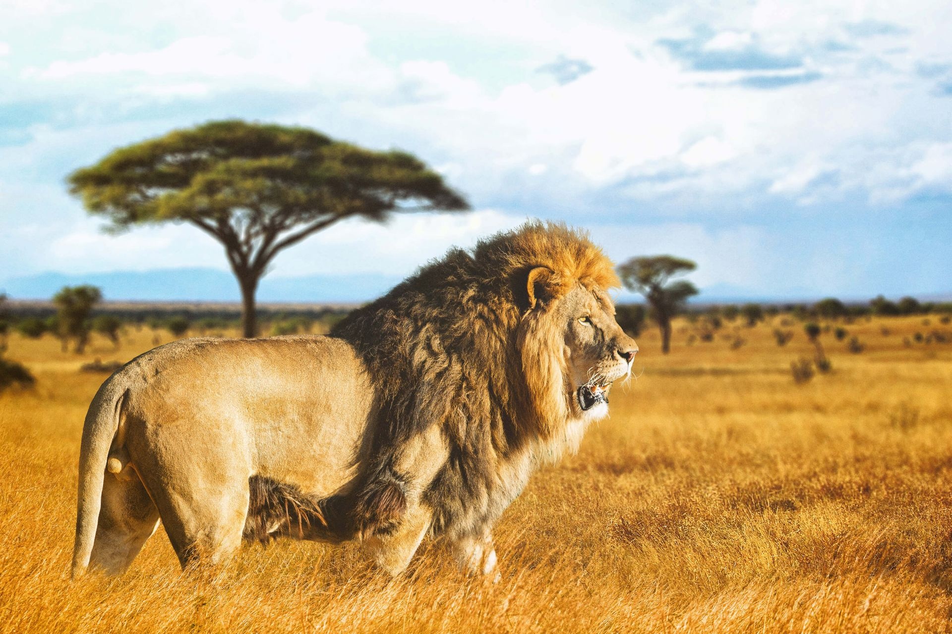 tourhub | Jossec Tours and Safaris | 3-Day/2-Night Maasai Mara Group Safari From Nairobi 