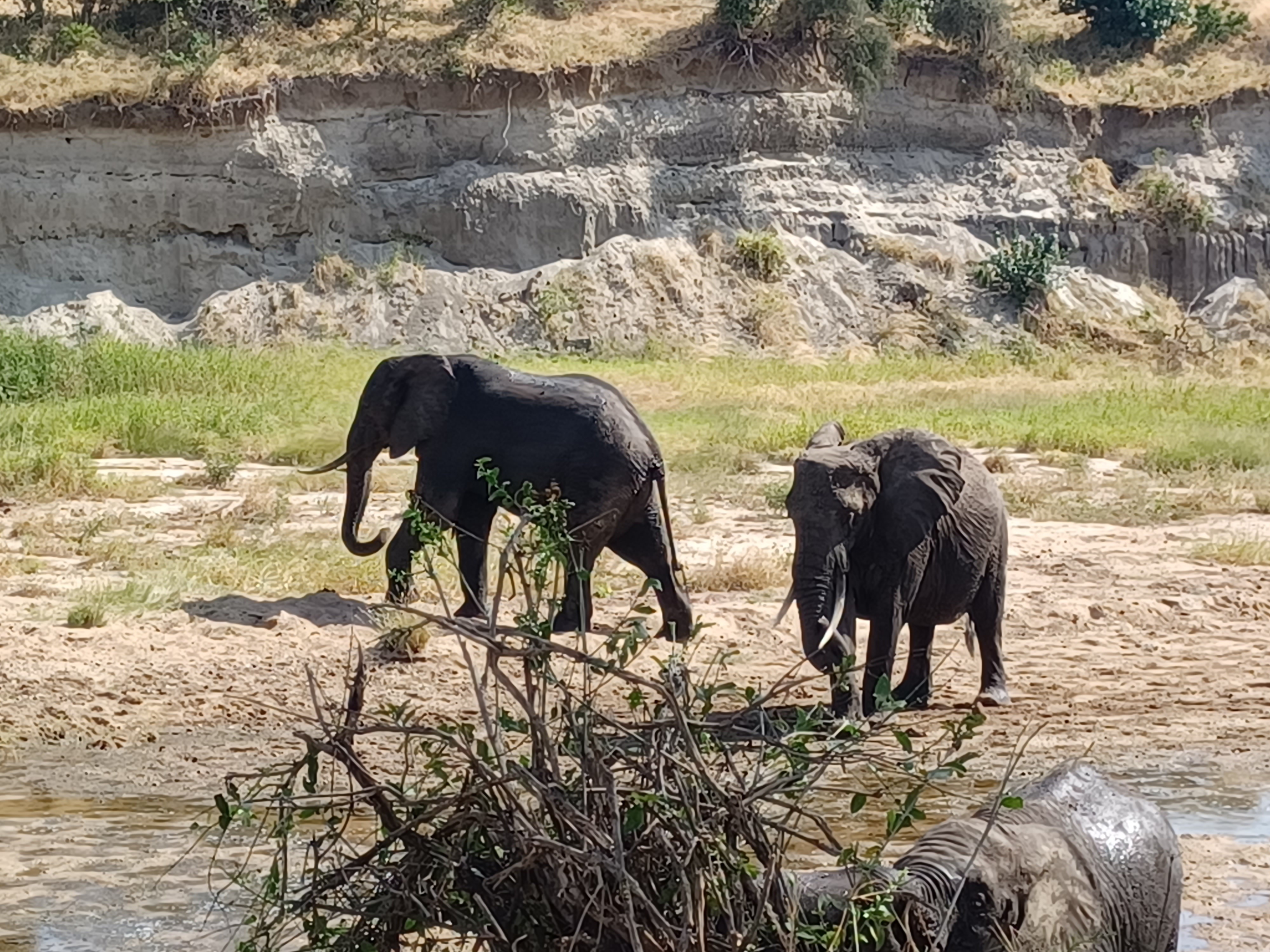 tourhub | Serengeti Access Safaris | 2 Days Tarangire and Ngorongoro Crater Exploration 