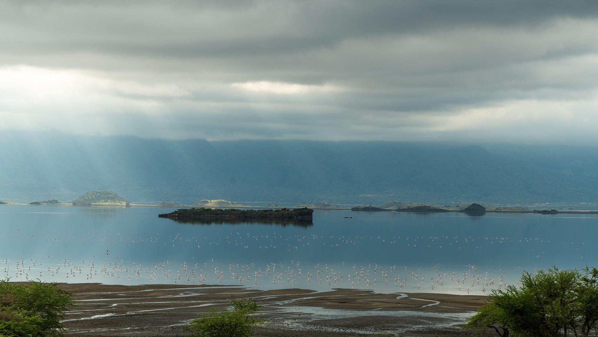 tourhub | Beach and Safari Holidays | Untamed Tanzania: A Journey into the Wild Heart of Africa 