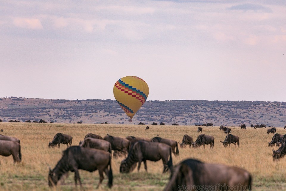 tourhub | Across Africa Tours Travel | Tanzania and Kenya Safari for Seniors 10Days/9Nights 