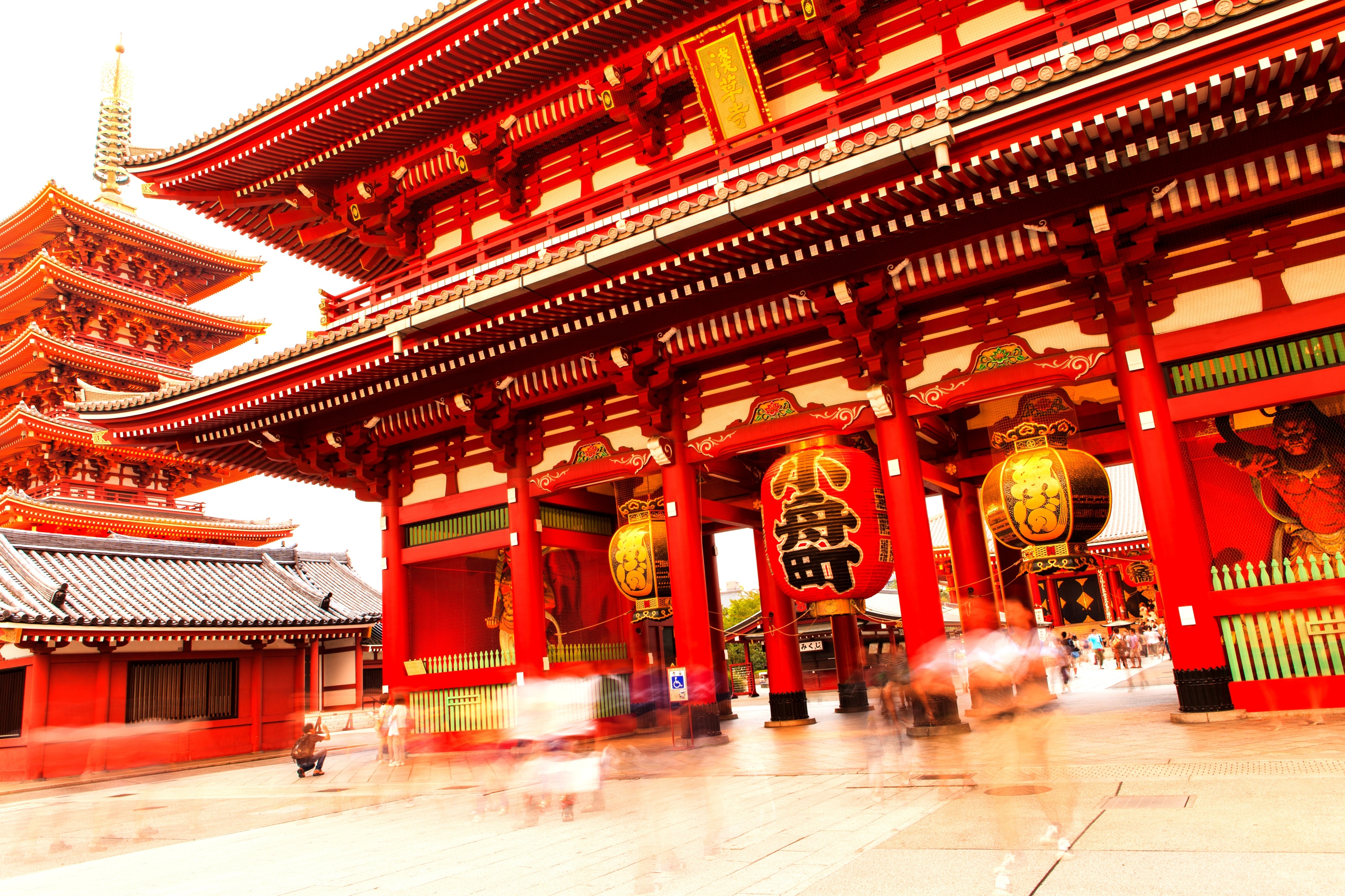 tourhub | Wanderful Holidays | Discover Japan: A 11-Day Adventure 