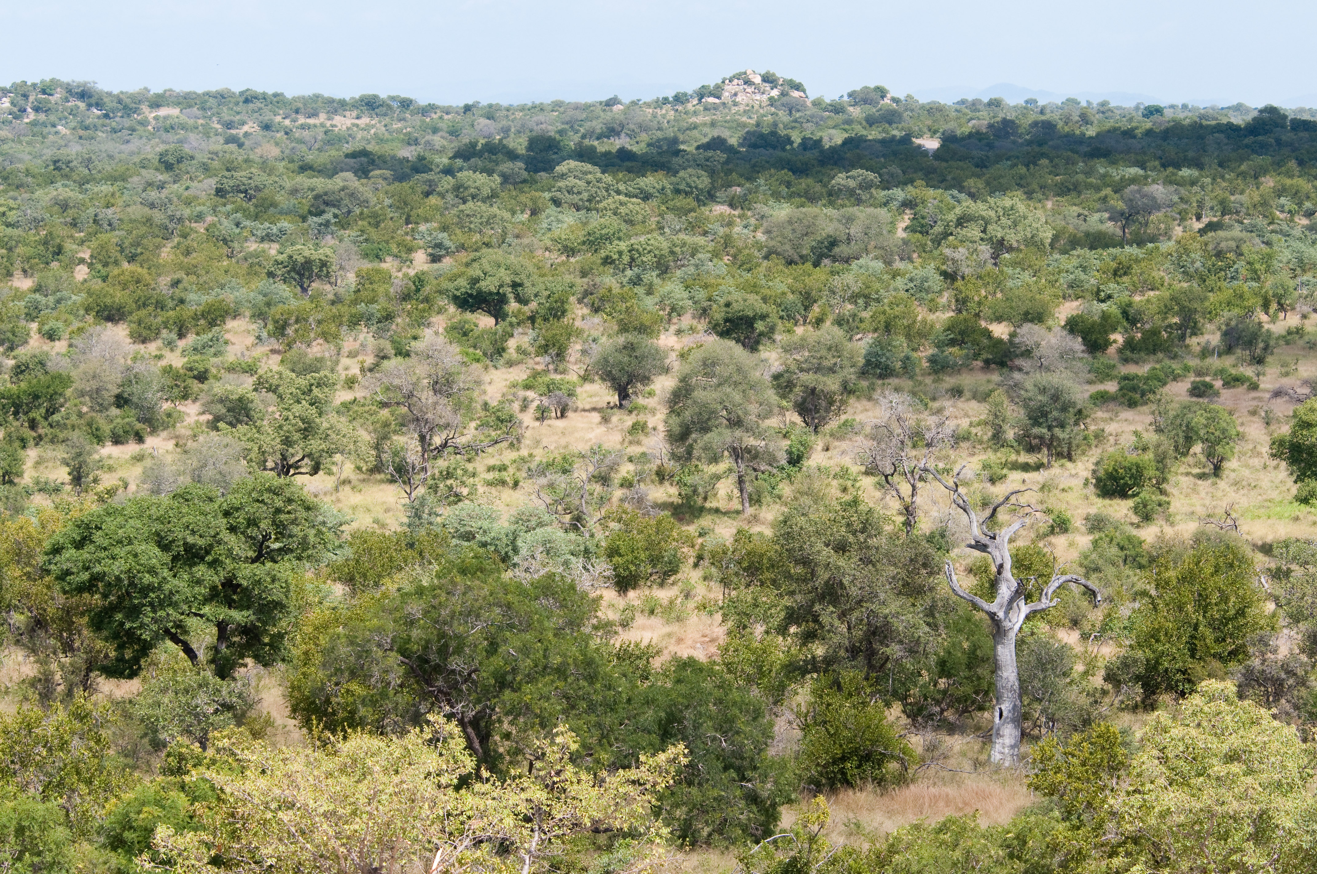 tourhub | Timeline Travel | Kruger National Park and Panorama Route 