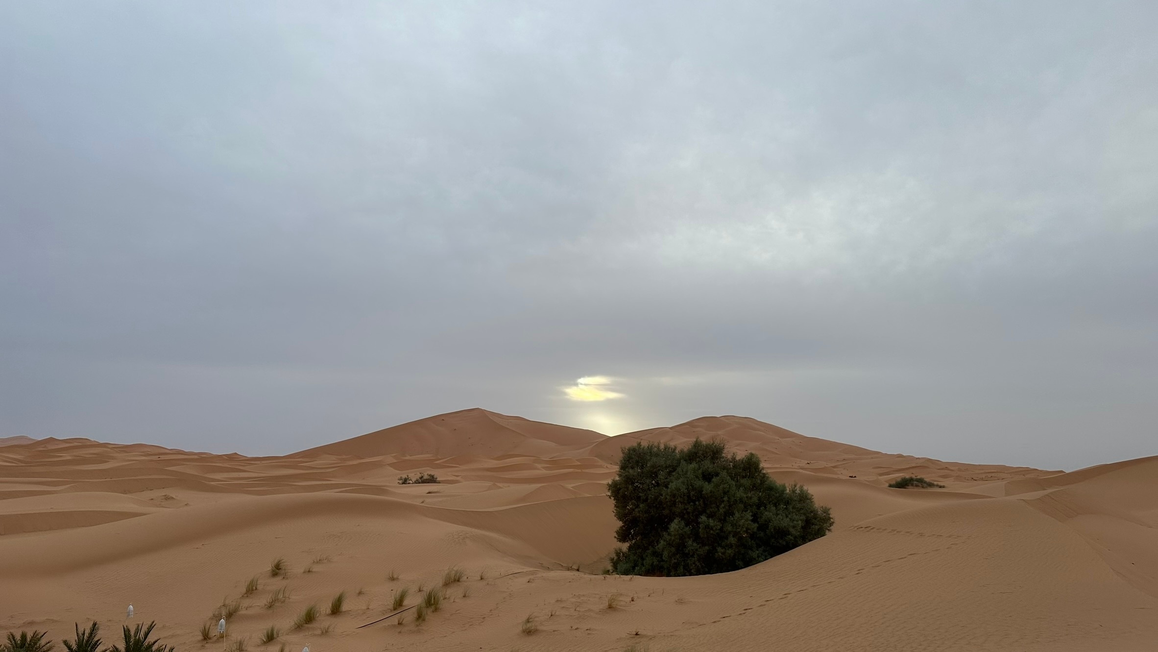 tourhub | Escorted Morocco Tours | 3 Days Morocco Sahara Desert Tour from Marrakech 