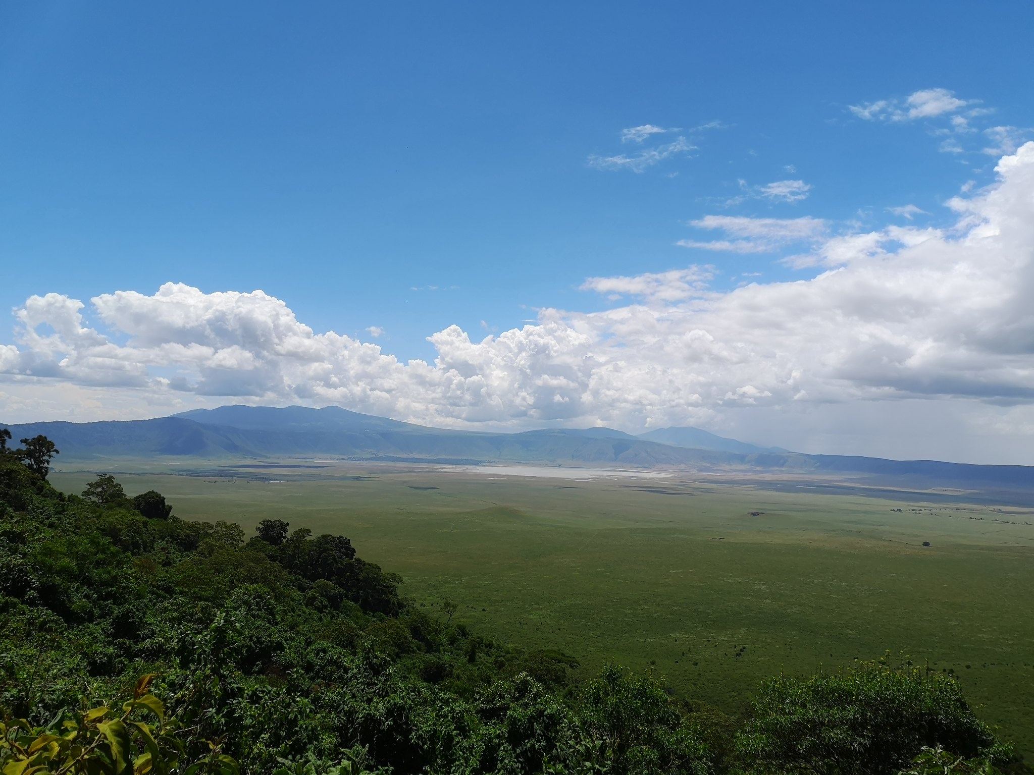 tourhub | Beach and Safari Holidays | Safari through the Serengeti, including the World-Famous Crater 