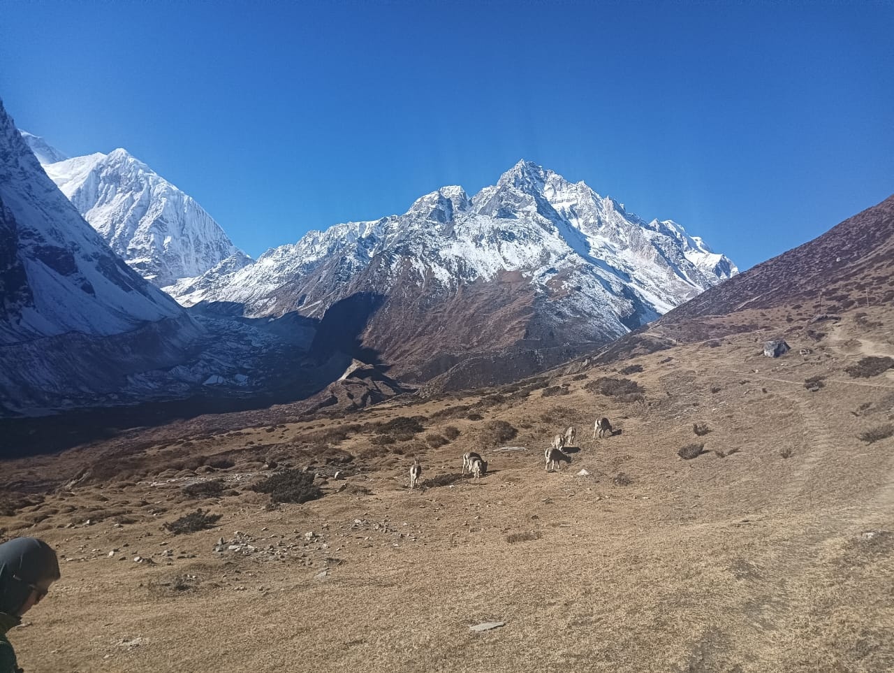 tourhub | Swotah Travel and Adventure | Manaslu Trek 