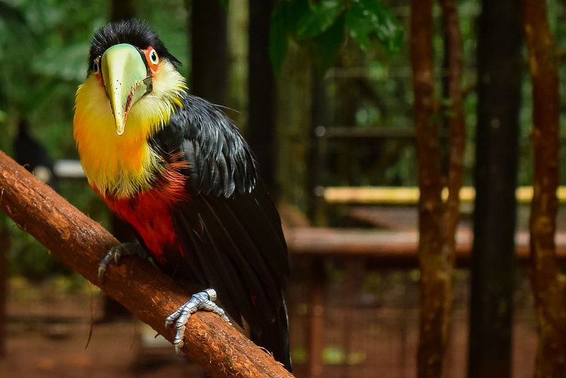 tourhub | Private Tours | Iguazu Falls Discovering Their Incredible Waterfalls 02 Days & 01 Night 