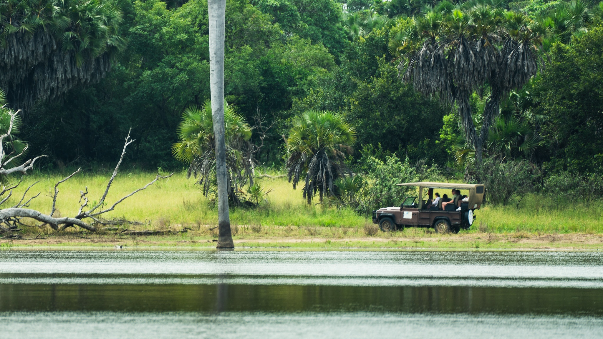 tourhub | Beach and Safari Holidays | Safari Trip Full-Day Game Drive 