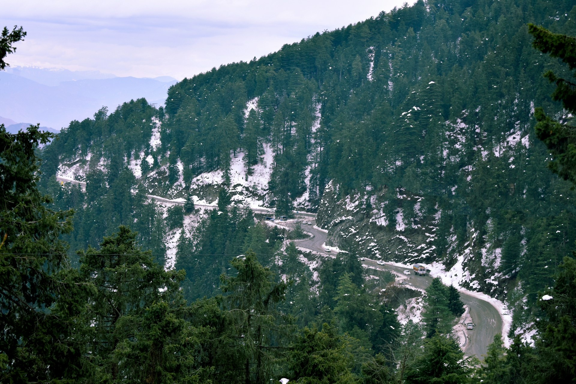 tourhub | Go Book Tours | Golden Triangle Tour with Shimla and Toy Train Ride 