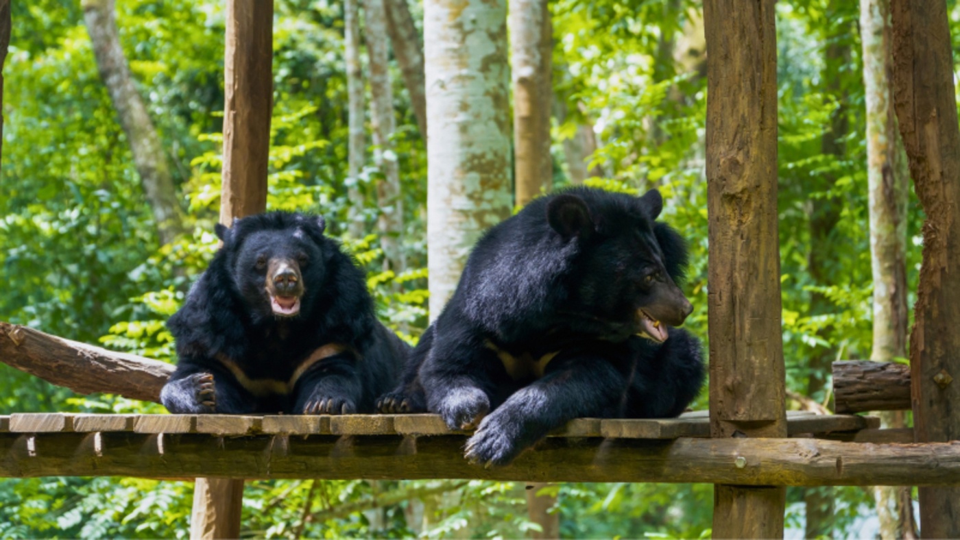 tourhub | Open Asia Travel | Highlights of Luang Prabang 6 days 