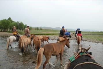 tourhub | Tour Mongolia | Nomadic Lifestyle 