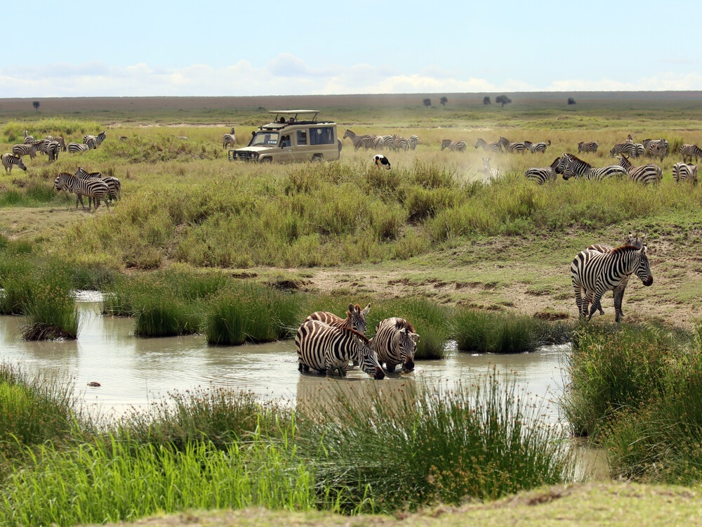 tourhub | Zara Tanzania Adventures | Best of Ngorongoro, Tarangire & Lake Manyara Safari (Northen Tanzania) 