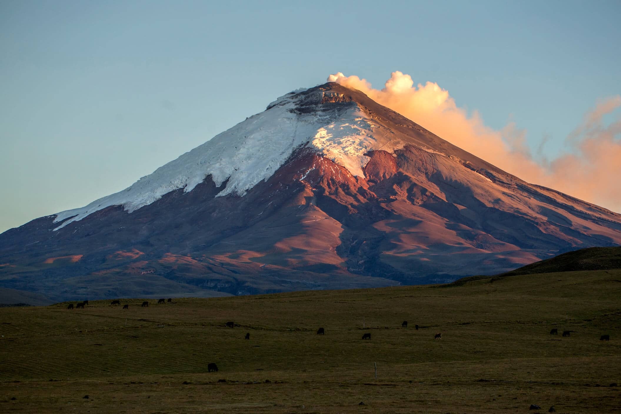 tourhub | Ecuador Galapagos Travels | 14 days Andean Cultures Ecuador 